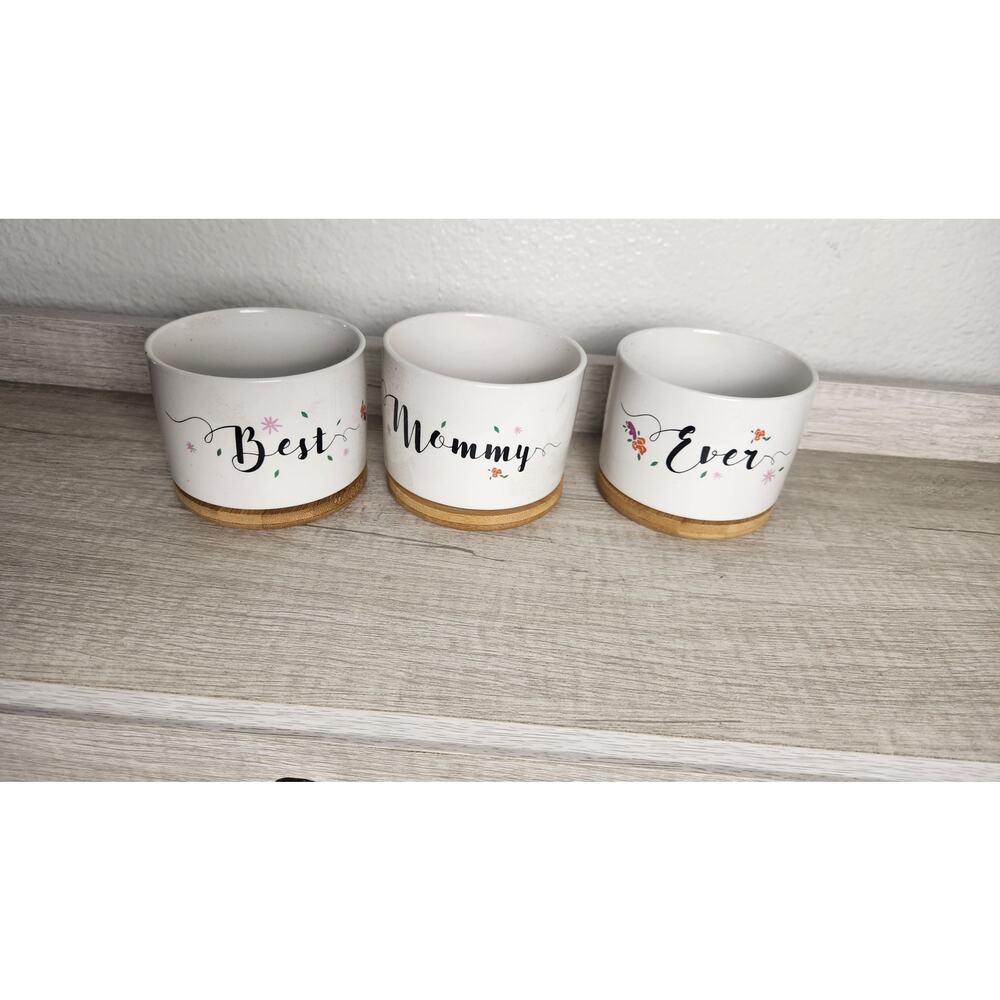 Creative Plants Pots White Ceramic Vase for Flower Sedum Succulent- Pack of 3‎